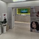 삼성드라이크리닝 | 강남모발클리닉 추천 / 에코쟈뎅 코엑스 삼성점 시세이도 클리닉 후기 코엑스 미용실