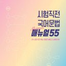 실전 국어문법 이미지
