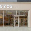 소앤소동물병원(출장전문) 이미지