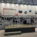 머드체험관 이미지