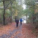 정배농장 이미지