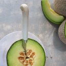 도열농장 이미지