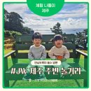크린토피아가운중앙구름다리점 | 댄싱두루미, 제주 가성비 카페 아이랑 함께 즐긴 후기, 빵 먹고 야외 공간에서 아이들과 뛰어놀아봐요.