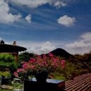 조금 전(소년한국일보) / [빛명상] 빛터 그림찻방의 사계 / 자연의 화백 / 한 장의 달력이 벗겨지니 또 다른 바람이 잎사귀마다에서 이미지