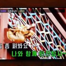 꽃돼지네 이미지