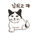 보광탕