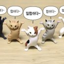 피자꾼춘천점 이미지