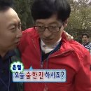 술바라기