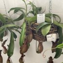 부래도 화장실 이미지