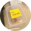 인천 송도 빵집 화이트리에 식빵 포장후기 (+웨이팅, 가격, 보관하는 방법까지)