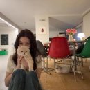 라무드헤어 이미지