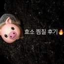 분당-168 | 미금 쑥이 사랑 분당점에서 내돈내산 효소 찜질 후기