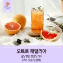 오트로 패밀리아