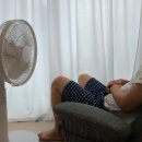 ​보만 14인치 BLDC 선풍기 BF14170W 실사용후기 가정의 달 특선물로 딱