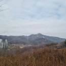 토시리 이미지