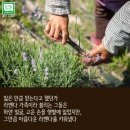 국제허브아카데미 이미지
