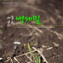 백세밀영농조합 이미지