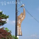 제주도게스트하우스 달숲게스트하우스 제주가볼만한곳 추천도 해줘요!