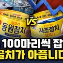 참치 | 동원산업, 사조산업 이미지