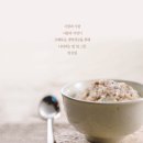 한살림서울소비자생활협동조합 다산매장 | 한살림 장보기 15년 차, 채식 비건인을 위한 한살림 추천템! 정보 1_가공식품 베스트 5