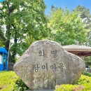 부산터널 1 | 2025 부산 화명 장미원 공원 주차장 개화 실시간 터널 5월 꽃구경