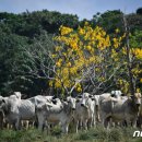 정윤미 농장 이미지