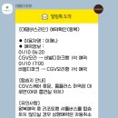 씨유홍천플러스점 | 대명비발디파크 무료셔틀놓친썰 ㅋㅋㅋ