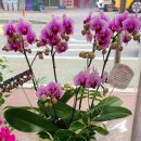 풍호동행정복지센터 이미지