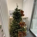 디아트네일 | 운정 디아트네일 크리스마스 네일아트 후기🎄