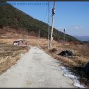 병곡면사무소 이미지