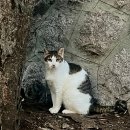 어제와 오늘의 얼굴 이미지