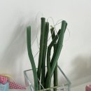 (원데이)히아시스 플라워 캔들 이미지