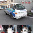 동방약국 이미지