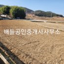 점암면사무소 이미지