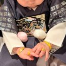 메인아이 | 우리 아이 첫 생일, 돌잔치 아이폰 메인스냅 '모모엔(momoen)' 후기💙