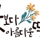 꽃보다아름다운떡