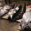 중앙도매시장 이미지