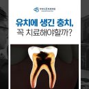 평촌어린이치과의원 네이버블로그