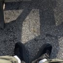 태백산한우 이미지