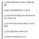 비엔플러스 이미지