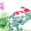 겔러리 이미지