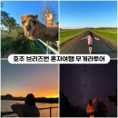 팔공댐 고기나라 | [호주 브리즈번] 무게라별빛투어 반일투어 혼자여행후기