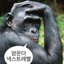 서초중앙로 110 이미지