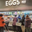노브랜드버거홈플러스 신아일보