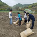 생동마을협동조합