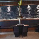 정겨운집 정관점 이미지