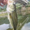 청도천4 이미지