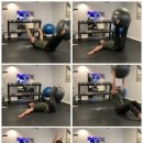 짐볼(Core Stability Ball)을 이용한 코어 안정화 운동 이미지