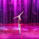 스카이워터쇼 이미지