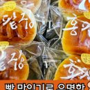 세곡-115 이미지